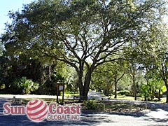 Calusa Woods Neighborhood